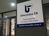 Úřad práce: Brigády na poslední chvíli? Největší šanci máte jako obsluha nebo recepční