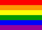 Ústavní soudkyně: Gayové mají mít rodičovská práva, kvůli dítěti