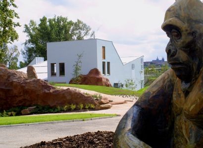Táborské fiasko: ZOO funguje načerno. Kvůli chybě radnice