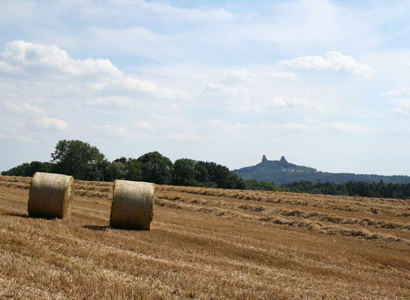 Šebesta: Vize českého zemědělství po roce 2010