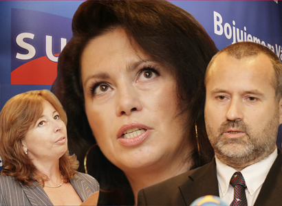 Koaliční kočkopsi. Bobošíková, piráti a lidovci