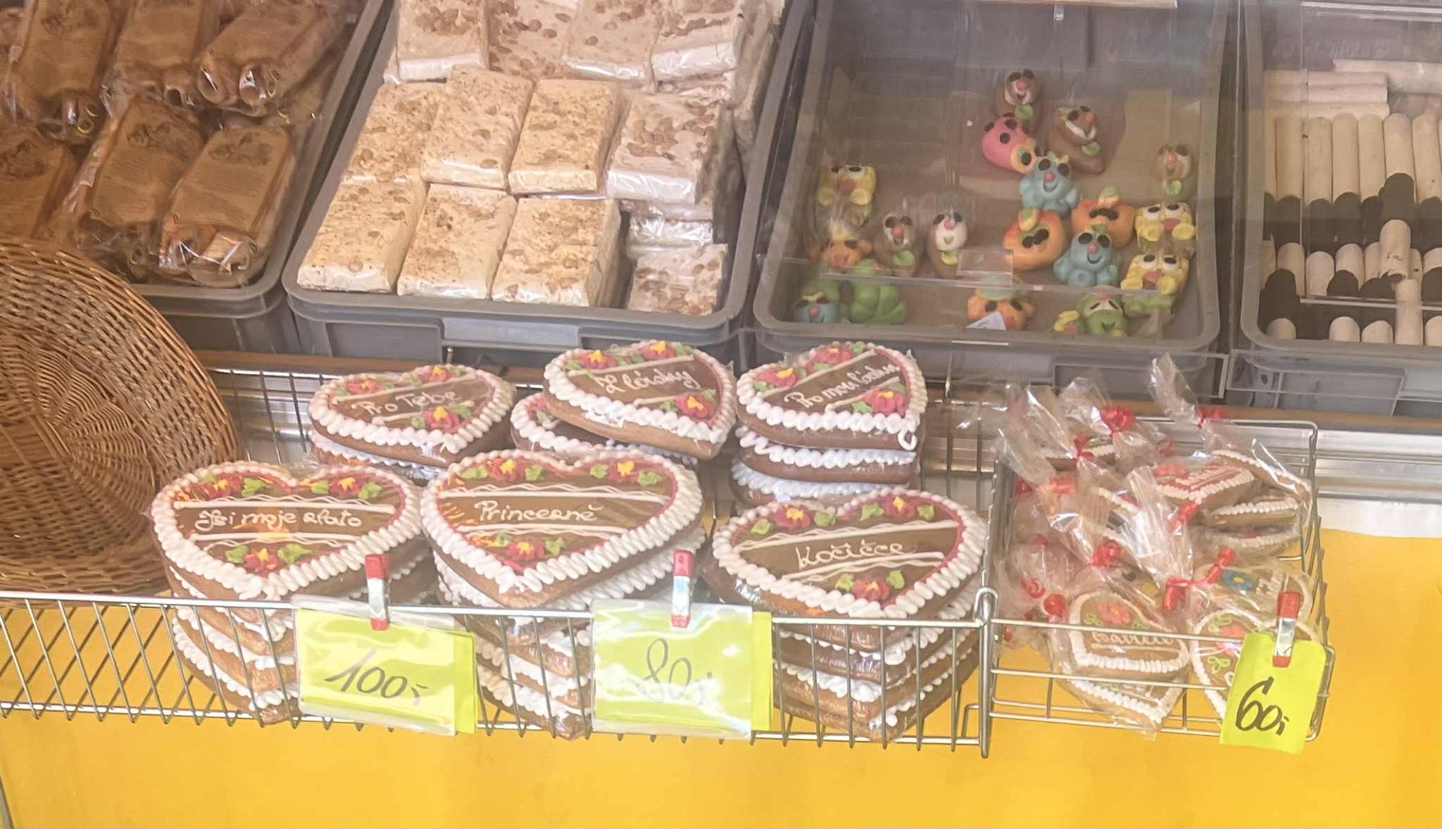 foto z pouti