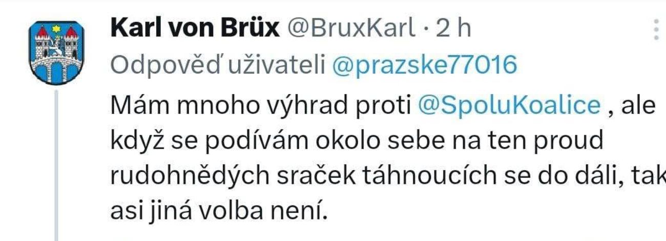 volič koalice Spolu promlouvá