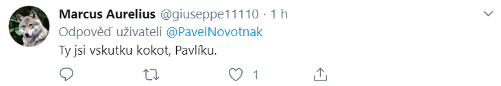 Uživatel Twitteru urážející Pavla Novotného