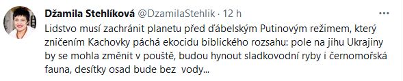 Džamila Stehlíková promlouvá