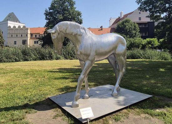 kůň