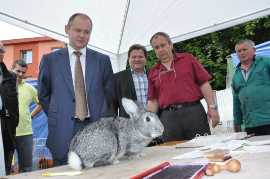 JUDr. Haszek Mihály čeká na evropské dotace od úředního králíka