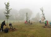 Dvaadvacet rodin si díky Nadaci ČEZ zasadilo svůj strom