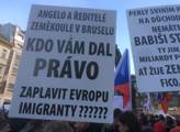 Stovky odpůrců uprchlíků v Praze: Angelo, kdo vám dal právo zaplavit Evropu imigranty? Perly sviním. Babiši, styď se!