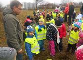Děti z kutnohorských školek dnes zasadily první stromy do aleje elfů