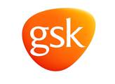 GSK hlásí růst celého portfólia, tržby vzrostly o rekordních 11 %