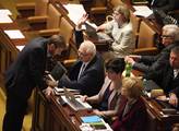 Sněmovna přes kritiku podpořila nový památkový zákon