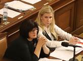 Jana Kunšteková Maříková: Valachová by se měla věnovat psaní pohádek, a ne hlasování o zákonech, o nichž nic neví