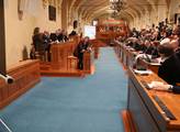 Pokud Zeman neodvolá Babiše, v senátu navrhnou ústavní žalobu