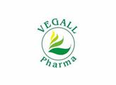 Vegall Pharma: Čtyři nejčastější mýty o početí