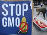 Odborník ke GMO: Občané EU si myslí, jak je genetická modifikace špatná, ale...