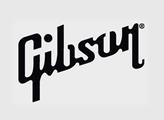 Gibson Brands definitivně dokončila převzetí WOOX Innovations