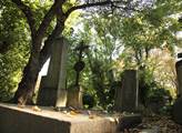 Petice proti vykácení stromů na hřbitově v Mladých Bukách