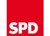 Eman Pluhař: Rozhněvaní mladí sociální demokraté proti establishmentu v SPD