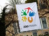 ZOO Praha: Prosba o pomoc s nalezením uprchlých ibisů