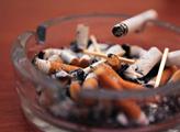 Poslanci by se měli začít zabývat zmírněním protikuřácké normy
