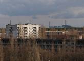 Zprávy z Černobylu: Co se děje v zamořené přírodě