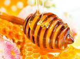 Medové odpoledne ve Štítné bude ve znamení včel i slivovice