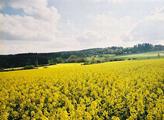 Robert Břešťan: Do byznysu s biopalivy přišli noví hráči. Agrofert vloni zvýšil podíl na dodávkách státu na sedmdesát procent