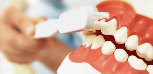 Studenti stomatologie poradí, jak správně čistit zuby