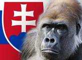Gorila, respektive Penta ohrožuje i novou slovenskou vládu 