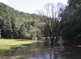 Po vydatných deštích se rozvodnila řeka Třebůvka, ...