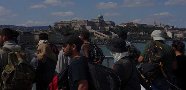 Jan Urbach: Maďarsko „vytlačuje“ ilegální migranty do Srbska