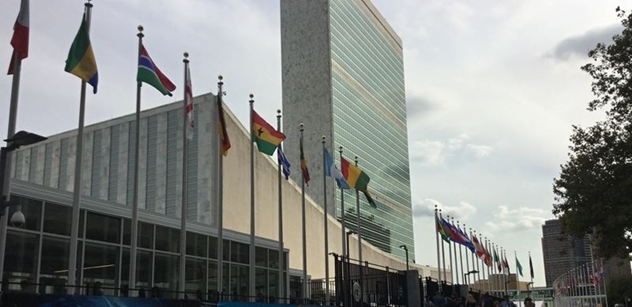 Tereza Spencerová: Zbude z OSN jen kůlnička na dříví?
