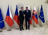 Andrej Babiš na první zahraniční návštěvě jako premiér. Podívejte se na VIDEO a FOTO