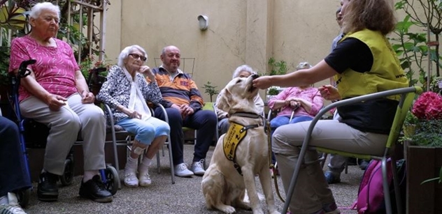 Praha 5: Aktivizace jako součást soudobých trendů v péči o seniory