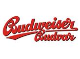 Budějovický Budvar loni exportoval nejvíce piva v historii