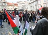 Shromáždění na podporu Palestinců konaně na Malost...