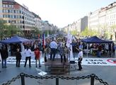 Na Václavském náměstí se ve středu sešlo asi 250 d...