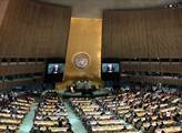Ruský návrh rezoluce kritizující noční útoky na Sýrii Rada bezpečnosti OSN zamítla