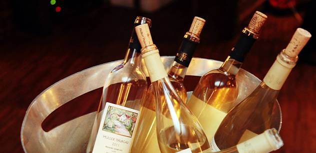 Patria Kobylí: Poptávka po sudovém vínu vzrostla o 32 procent