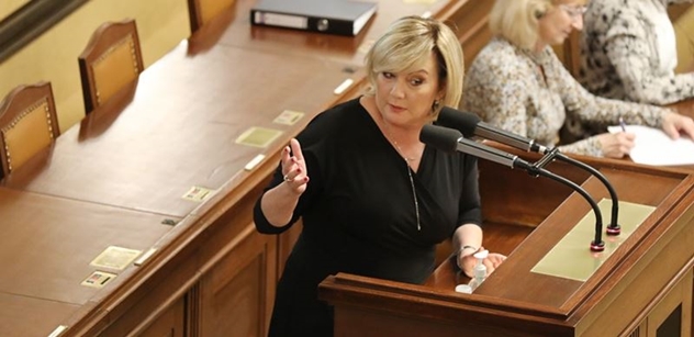 Schillerová se přela ve Sněmovně s Michálkem, ohrožuje podle ní demokracii