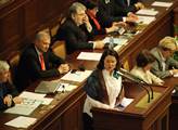 Miroslava Němcová řeční ve sněmovně