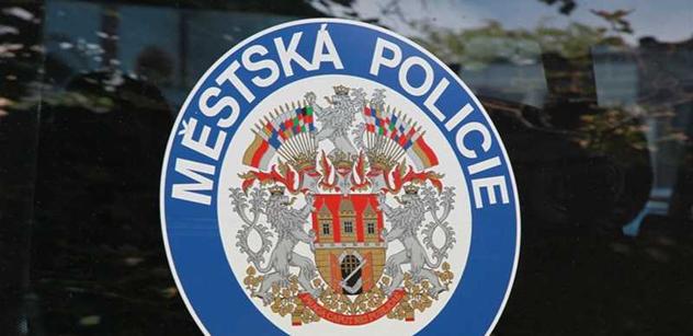 Strážníci pražské městské policie dopadli od začátku tohoto roku již přes osmdesát sprejerů. Za uplynulé tři dny jich zadrželi pět