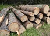 Ministr Toman chce po vládě 2,5 miliardy pro vlastníky kůrovcových lesů