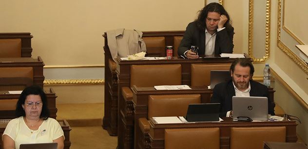 Oldřich Rambousek: Parlament je politická žvanírna, kde sedí odborníci na všechno a jsou zbyteční