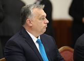Magda Vášáryová: Viktor Orbán je „trojsky osol Kremla“. Ten dopadl!