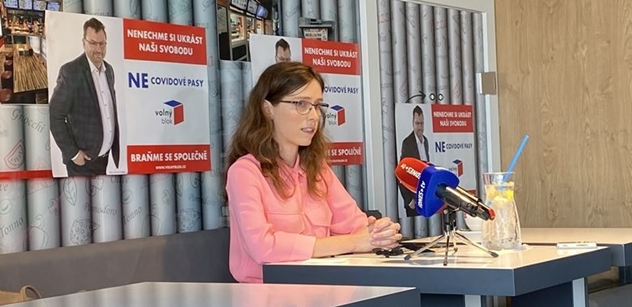 Politici a ČT. Zásadní zjištění. Hana Lipovská prozradila, co objevila po svém vstupu do Rady ČT