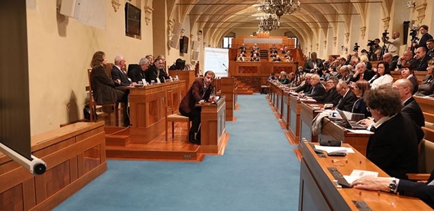 Čeští politici by v kauze novičok měli postupovat jednotně, žádá Senát