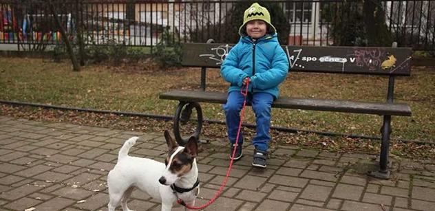 V Němčovicích rozšířili útulek pro psy