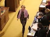 Černochová se pořádně rozčílila ve Sněmovně: Na neukázněné poslance by vzala bič